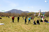 2016-04-10 - RFV Annual Kite Flying Contest