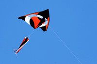 RVF Kite Flying Contest - (A) - 0023