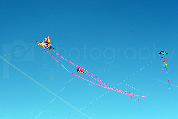 RVF Kite Flying Contest - (A) - 0003