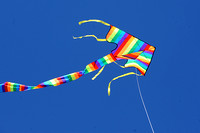 RVF Kite Flying Contest - (A) - 0036