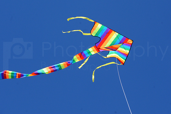 RVF Kite Flying Contest - (A) - 0036